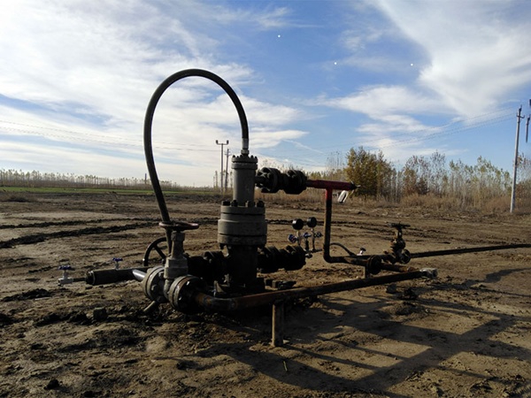 What are the application prospects of progressing cavity pumps in the petroleum industry?
