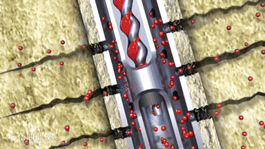 Progressive-Cavity-Pumps-Working-Principle-Top-view-dynamic-picture.gif